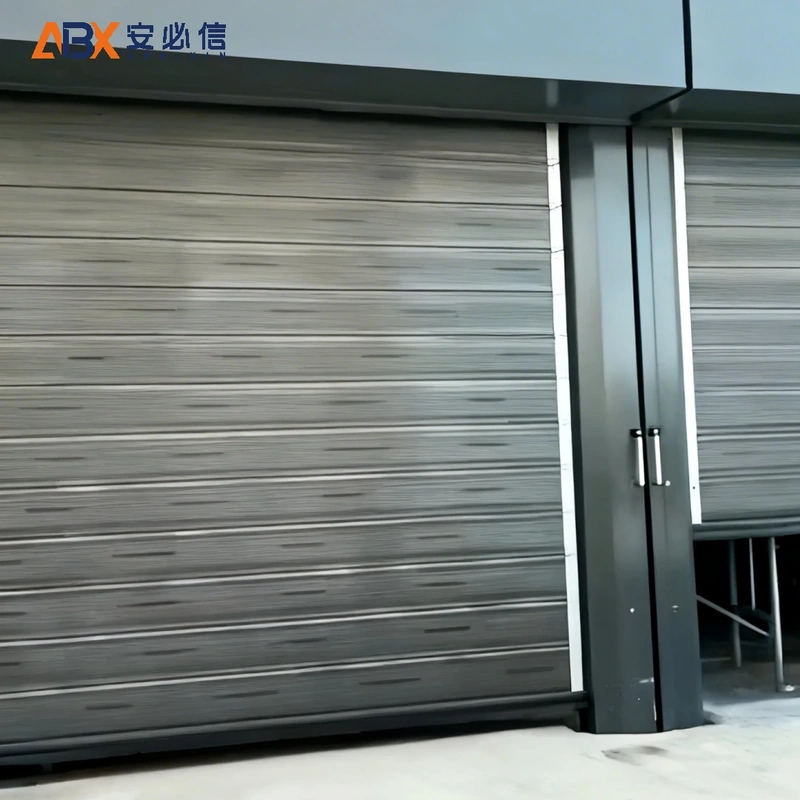 温州市感应高速门